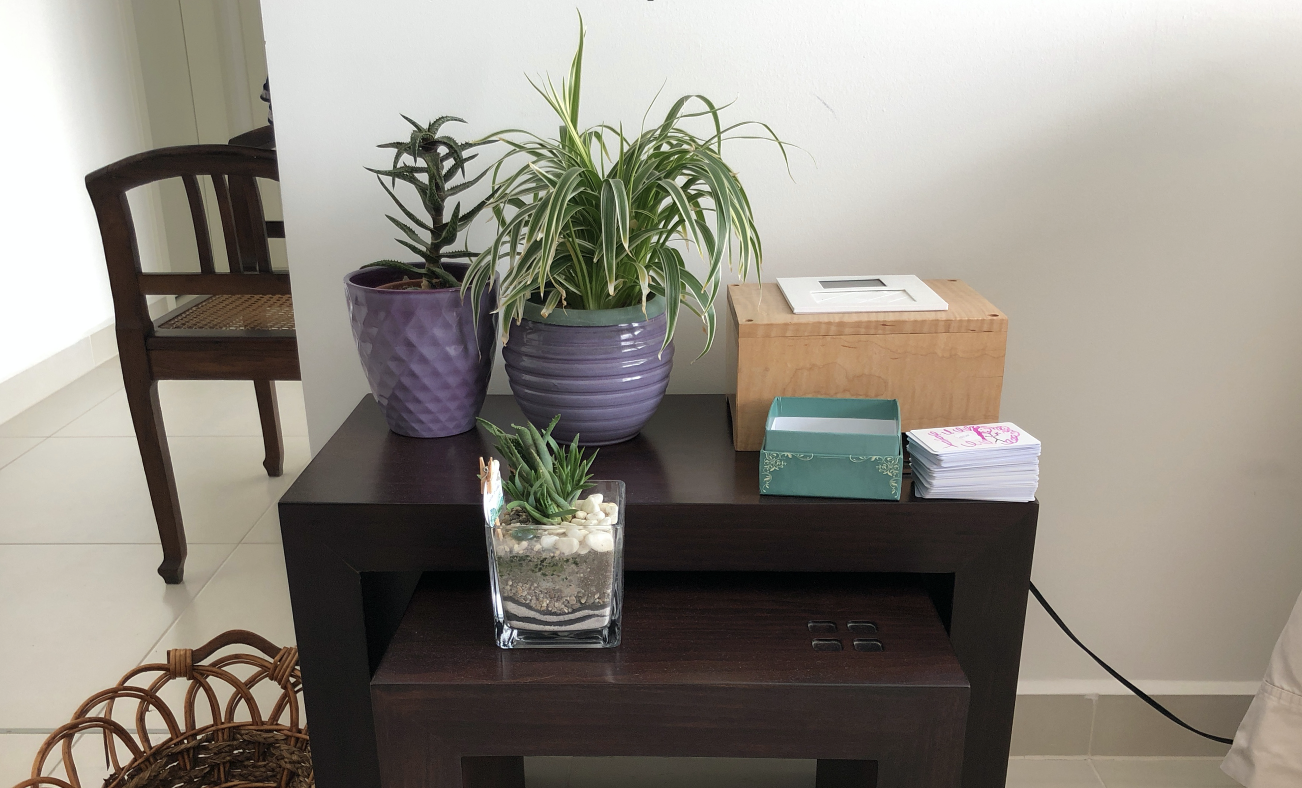 A FamilySong box in a participant&rsquo;s living room, with CardSongs stacked beside it among decorative plants